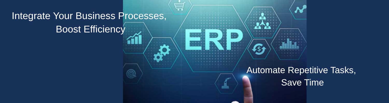 ERP Consulting Services