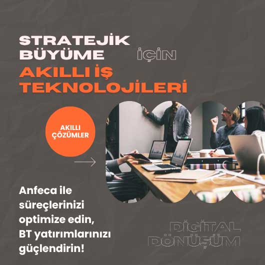 İş Teknolojileri Danışmanlığı 