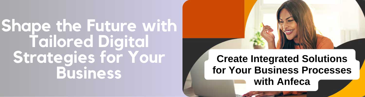 Create Integrated Solutions for Your Business Processes with Anfeca