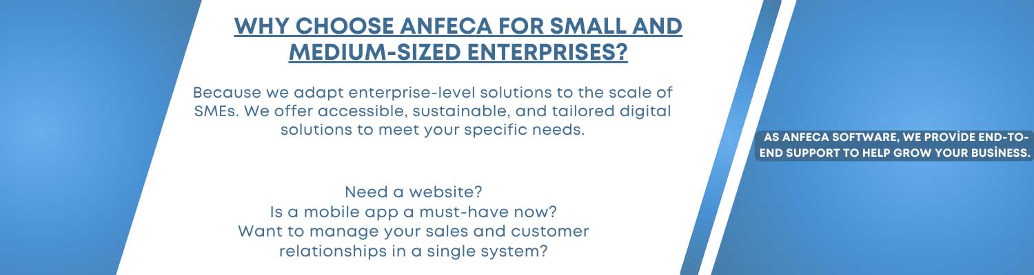Why ANFECA for SMEs?